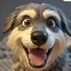 astropaw
